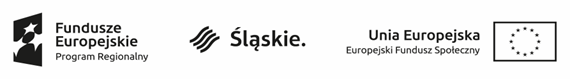 Logotypy UE, RP, Województwo Śląskie, EFS